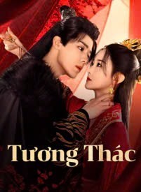 Xem phim Tương Thác